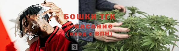 тгк Алзамай