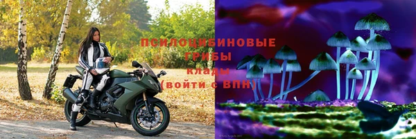 тгк Алзамай
