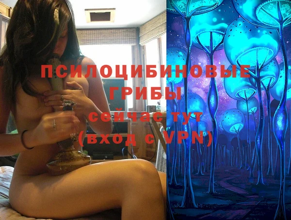 ECSTASY Алексеевка