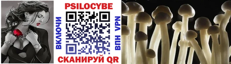 где найти   Алушта  ссылка на мегу маркетплейс  Псилоцибиновые грибы Magic Shrooms 
